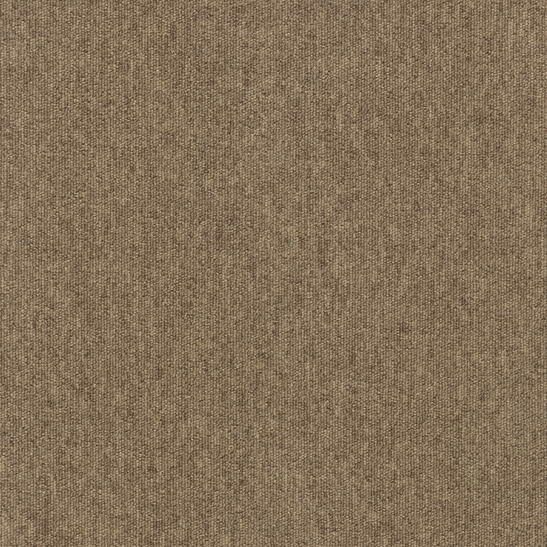 Paragon Vital Tundra Taupe 1020 carpet tile swatch