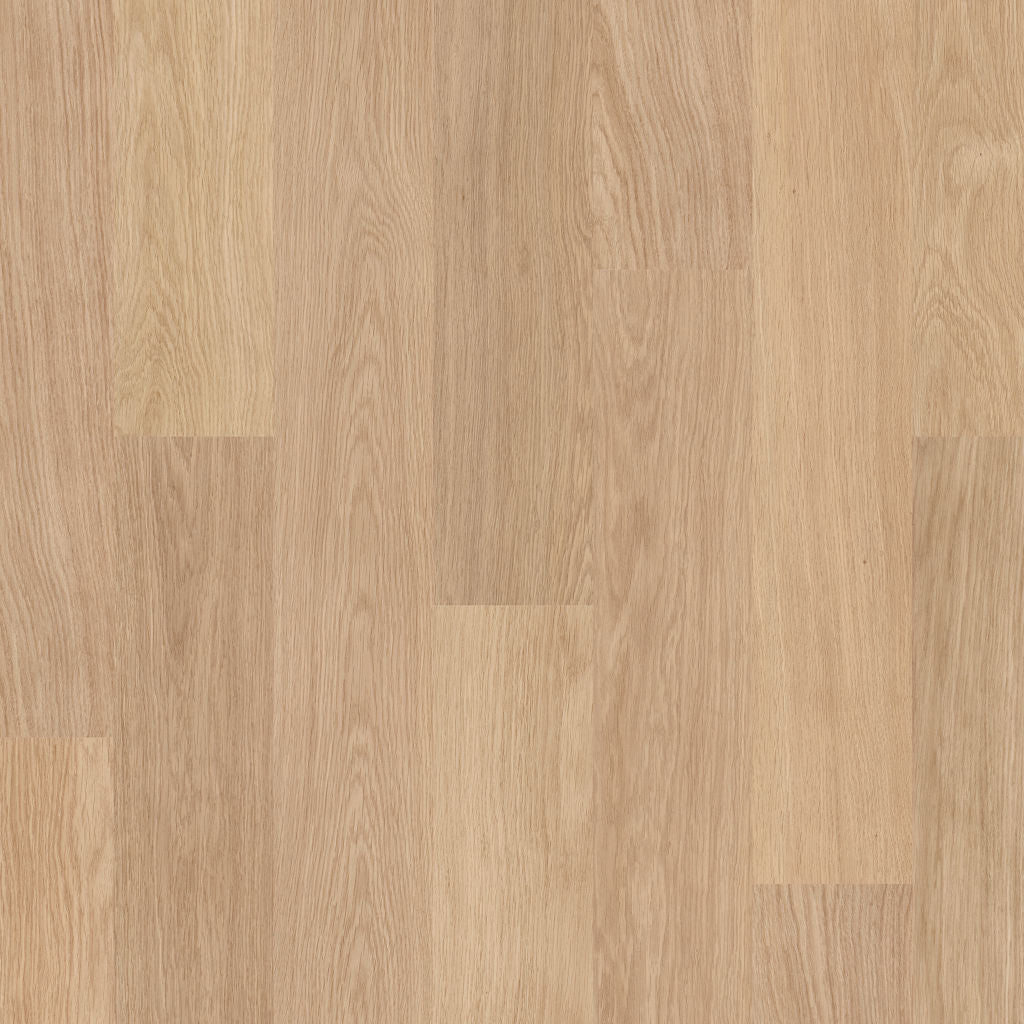 Quickstep Eligna White Varnished Oak 8mm Laminate EL915 | Trade Prices