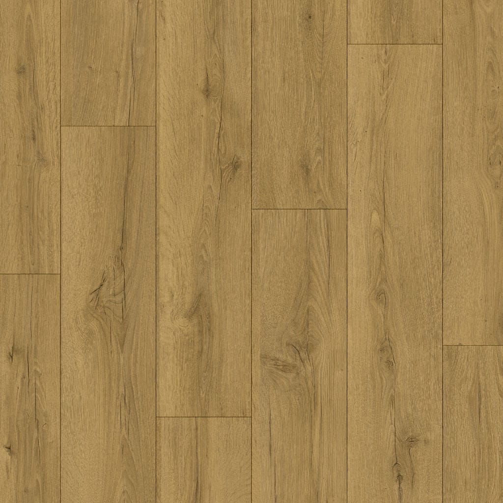 Quickstep Classic Honey Brown Oak 8mm Laminate CLM5792