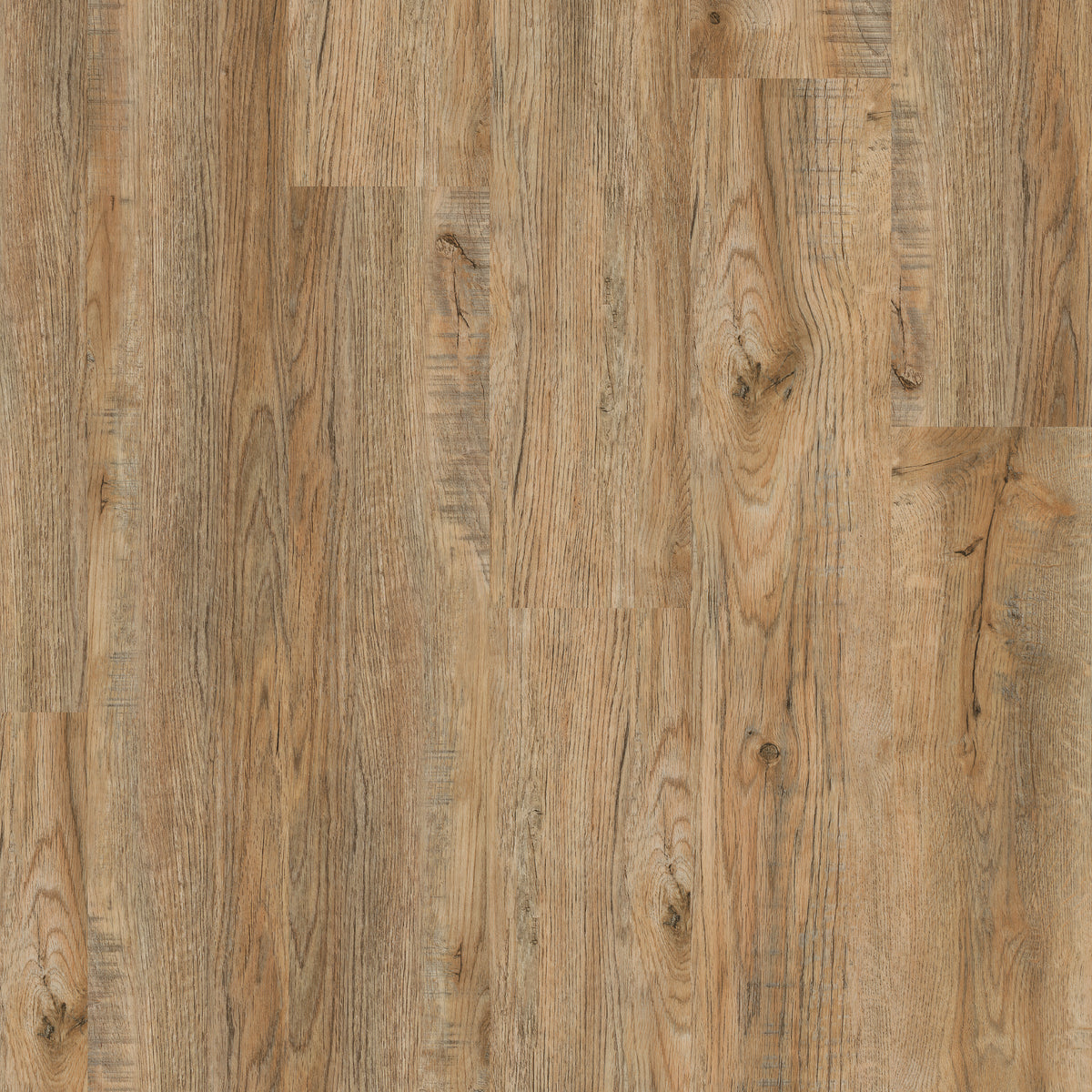 Cross Sawn Timber - Polyflor Affinity 255 LVT swatch