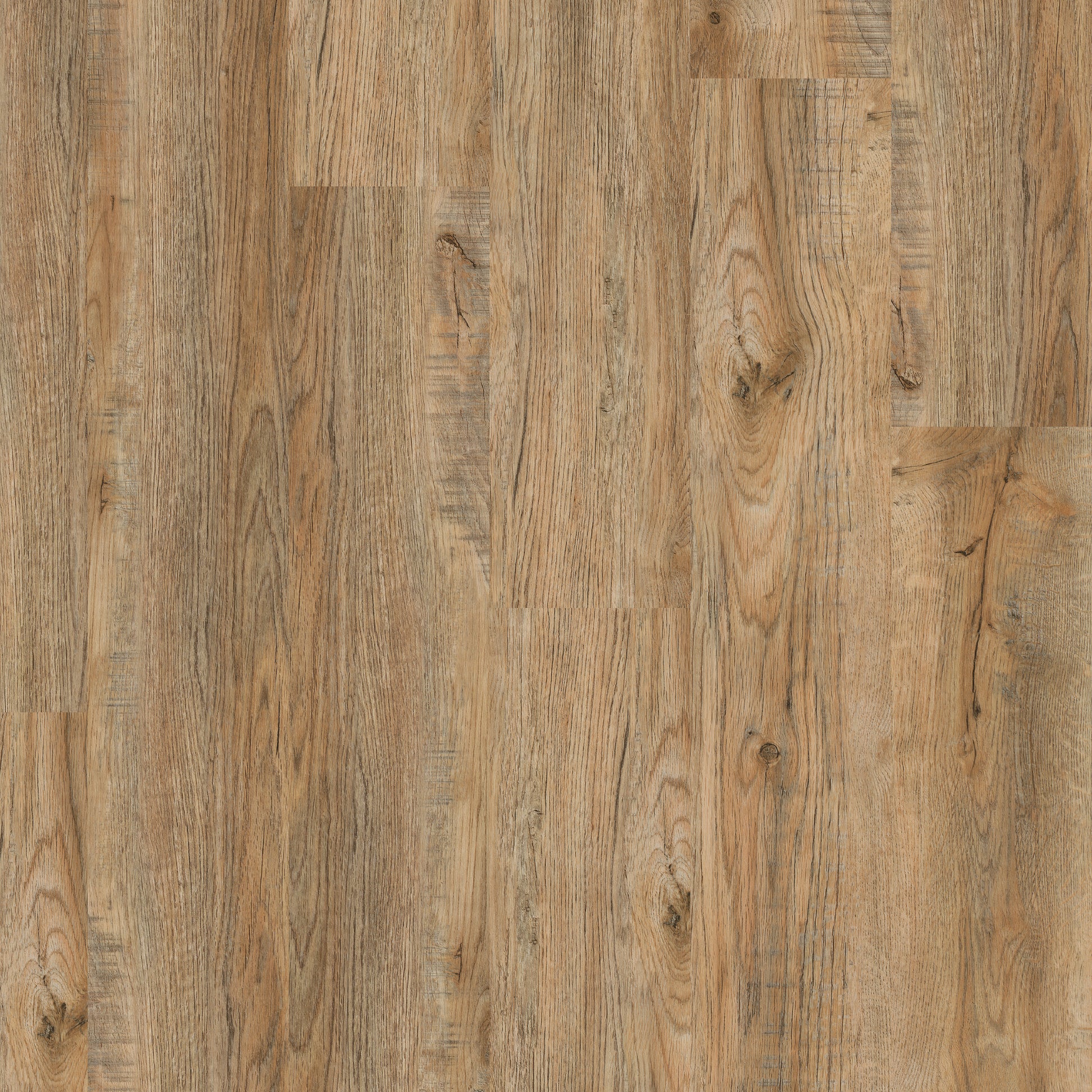 Cross Sawn Timber - Polyflor Affinity 255 LVT swatch