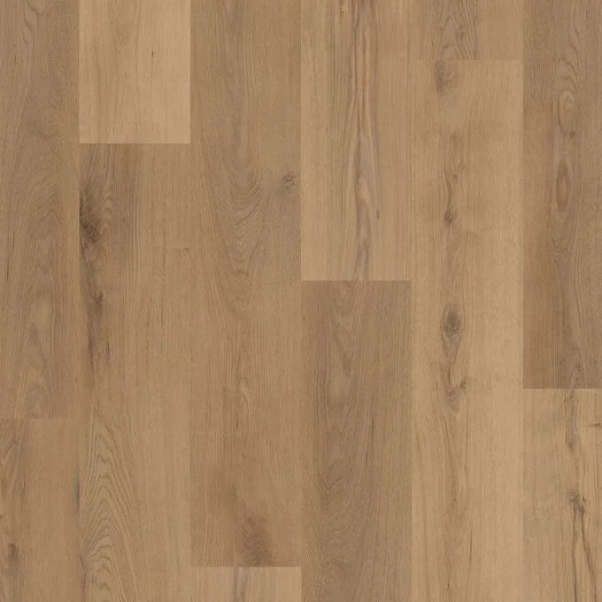Polyflor Colonia Brookland Oak LVT