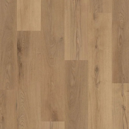 Polyflor Colonia Brookland Oak LVT | Trade Prices | Free Samples