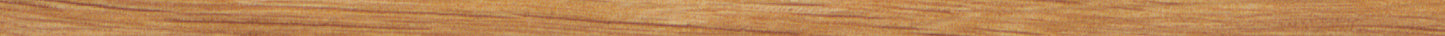 Polyflor Light Oak 3061 Marquetry Strip swatch