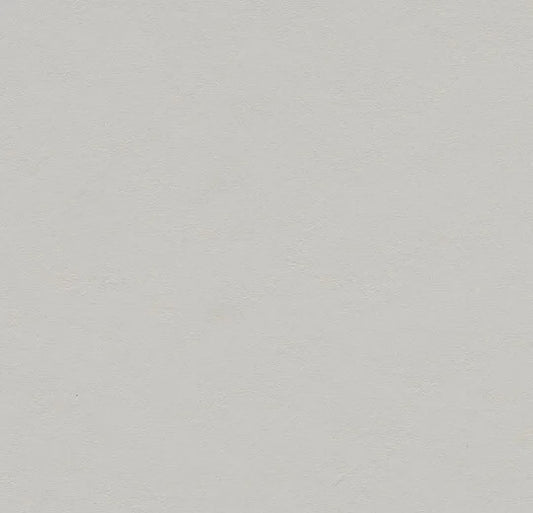 Forbo Marmoleum Solid Walton Titanium 3369