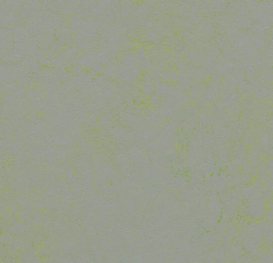 Forbo Marmoleum Solid Concrete Green Shimmer 3736