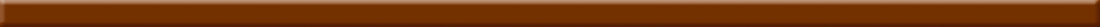Polyflor Brown 0031 Feature Strip swatch