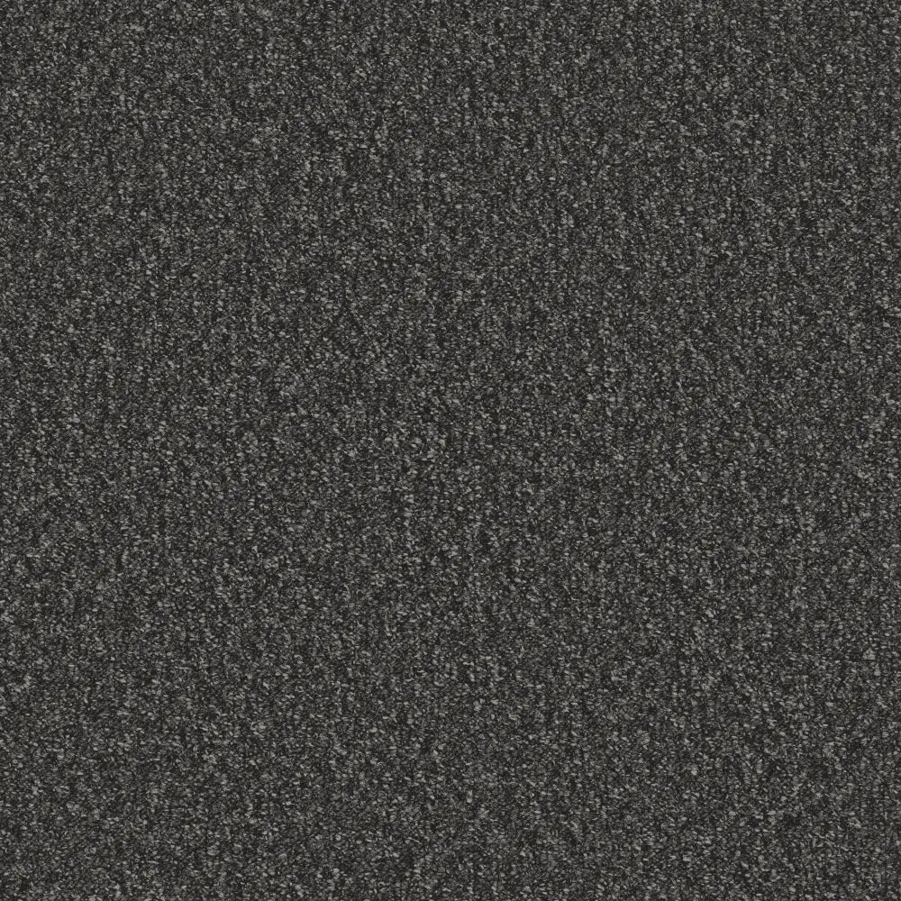 Flooring Wholesale Loop Midnight Carpet Swatch
