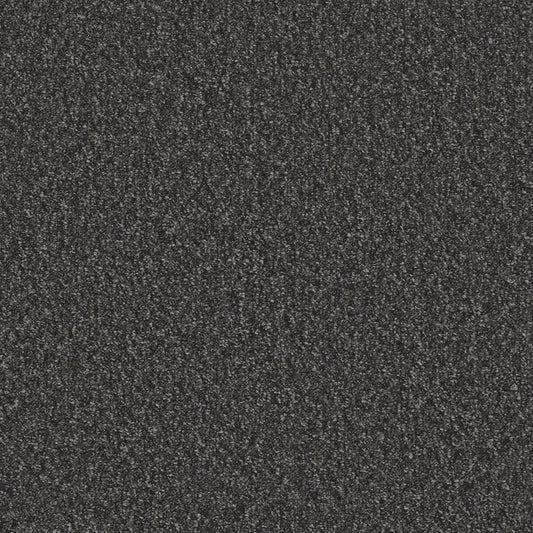 Flooring Wholesale Loop Midnight Carpet Swatch