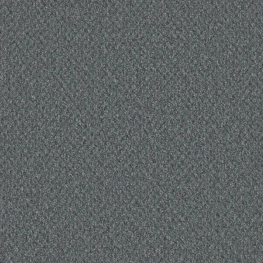 Flooring Wholesale Loop Saragossa Carpet