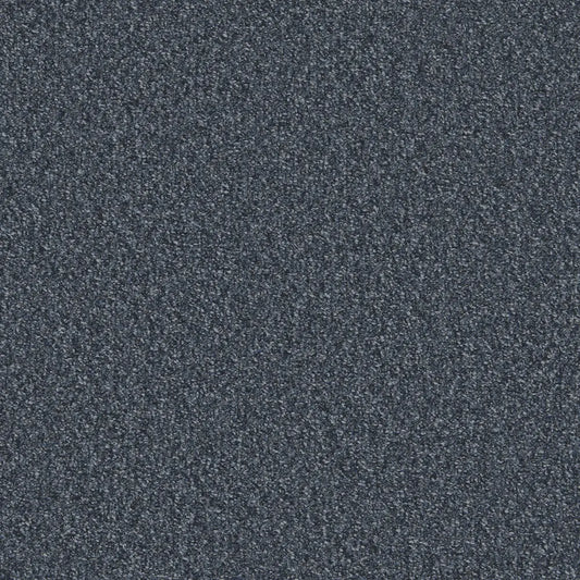 Flooring Wholesale Loop Prussia Carpet Swatch