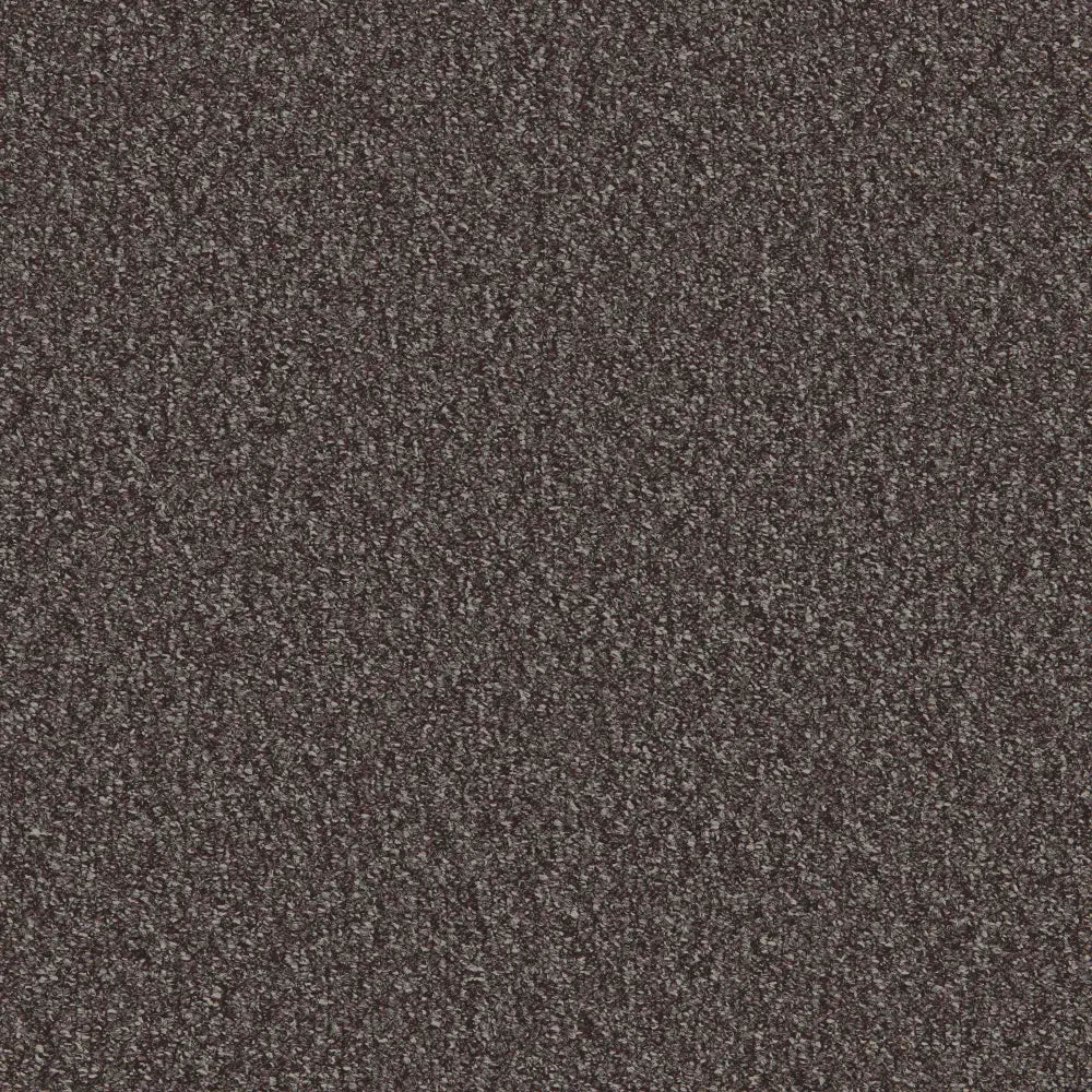 Flooring Wholesale Loop Granite Carpet Swatch