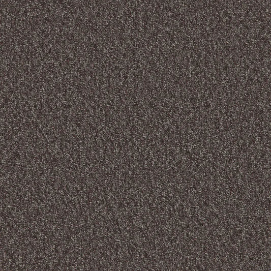 Flooring Wholesale Loop Granite Carpet Swatch