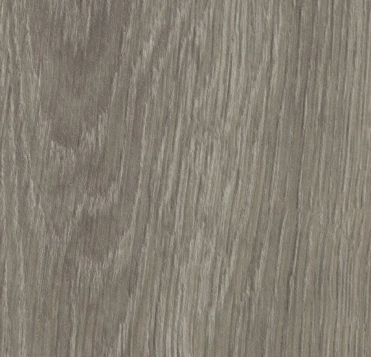 Forbo Allura Flex Grey Giant Oak 60280FL1 LVT | Trade Prices