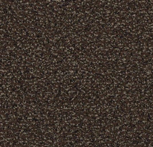 Forbo Coral Classic Coffee 4784 Entrance Matting