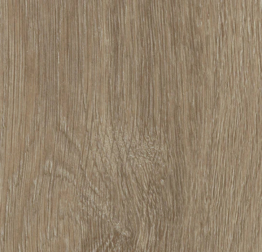 Forbo Allura Click Pro Light Giant Oak 60288CL5 SPC Click LVT | Trade Prices