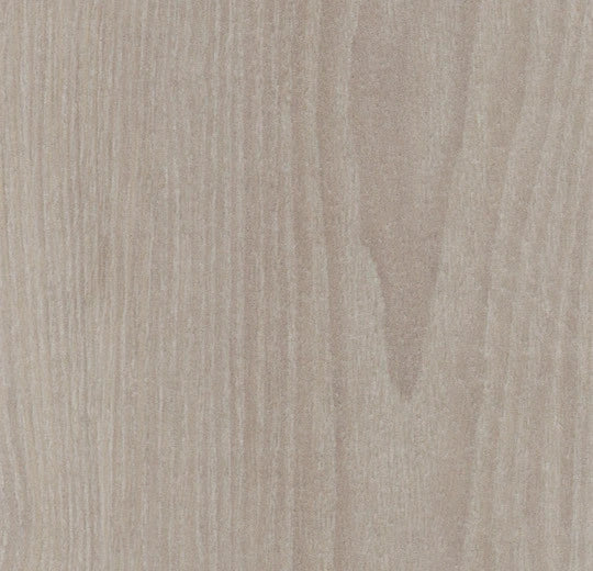 Forbo Allura Flex Natural Ash 63661FL1 LVT | Trade Prices
