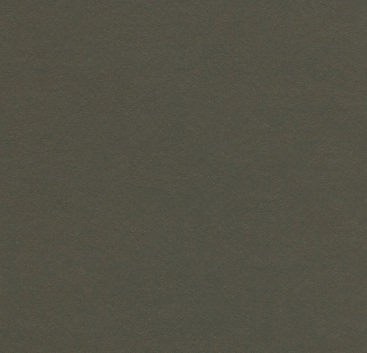 Forbo Marmoleum Solid Walton Peat 3376