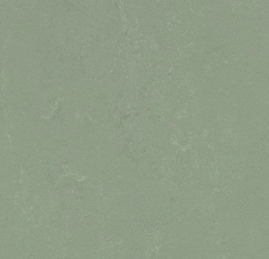 Forbo Marmoleum Solid Concrete Pine Forest 3750