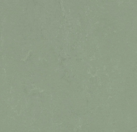 Forbo Marmoleum Solid Concrete Pine Forest 3750