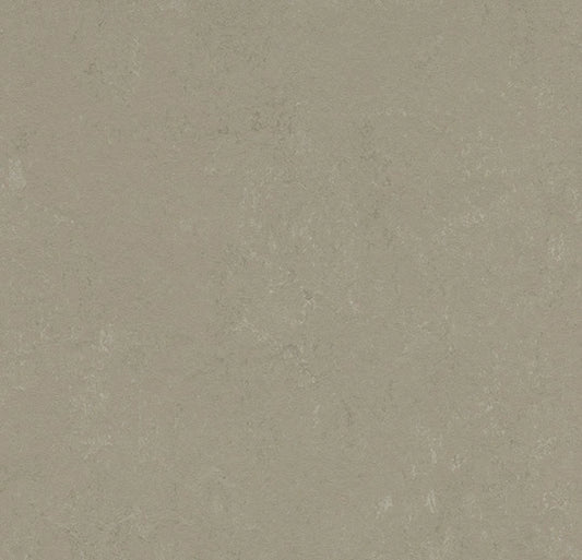 Forbo Marmoleum Solid Concrete Mercury 3759