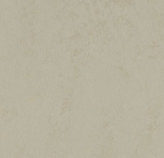Forbo Marmoleum Solid Concrete Dust 3760