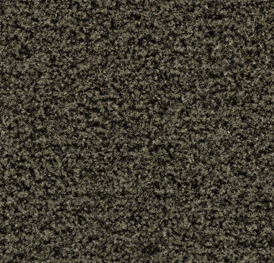 Forbo Coral Brush Fossil Grey 5234 Entrance Matting