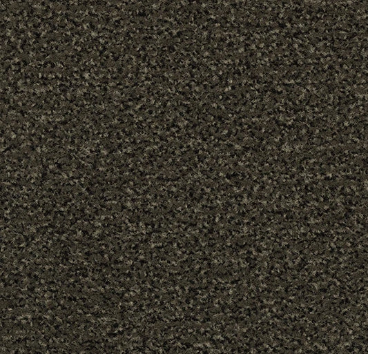 Forbo Coral Classic Spun Gold 4734 Entrance Matting