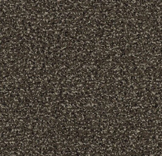 Forbo Coral Classic Taupe 4794 Entrance Matting
