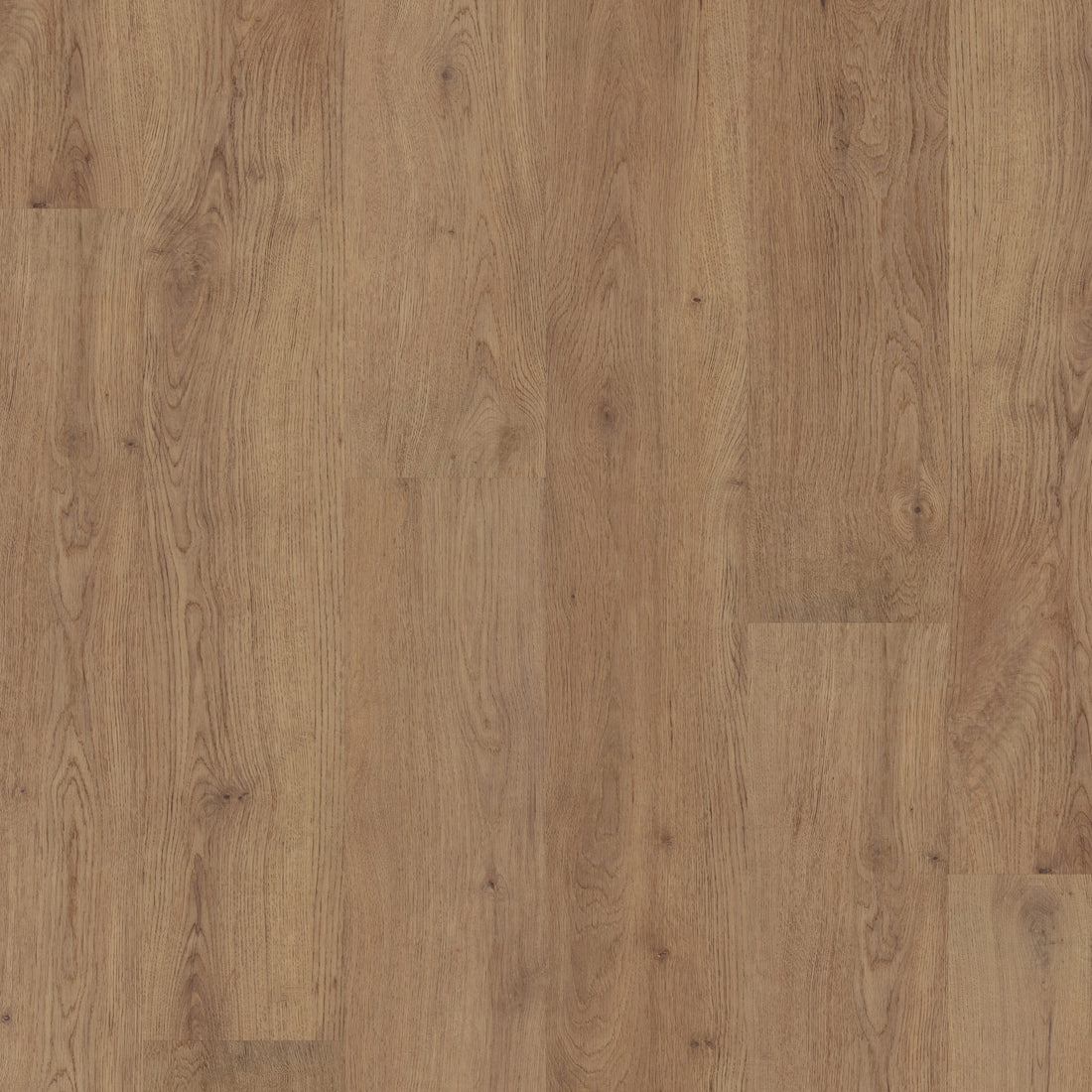 Polyflor Fusionline PUR Cathedral Oak 1066 acoustic sheet vinyl