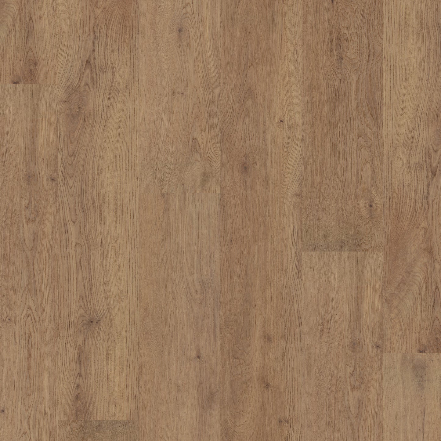 Polyflor Fusionline PUR Cathedral Oak 1066 acoustic sheet vinyl