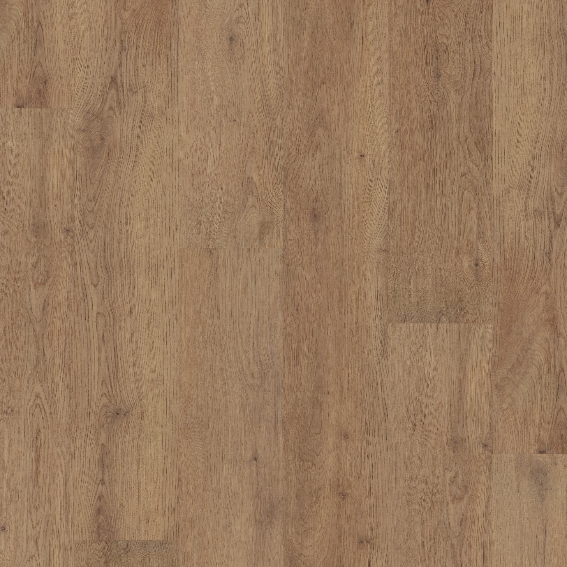 Polyflor Fusionline PUR Cathedral Oak 1066 acoustic sheet vinyl