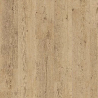 Polyflor Expona Commercial Shoreline Oak Vinyl | Trade Prices | Free Samples