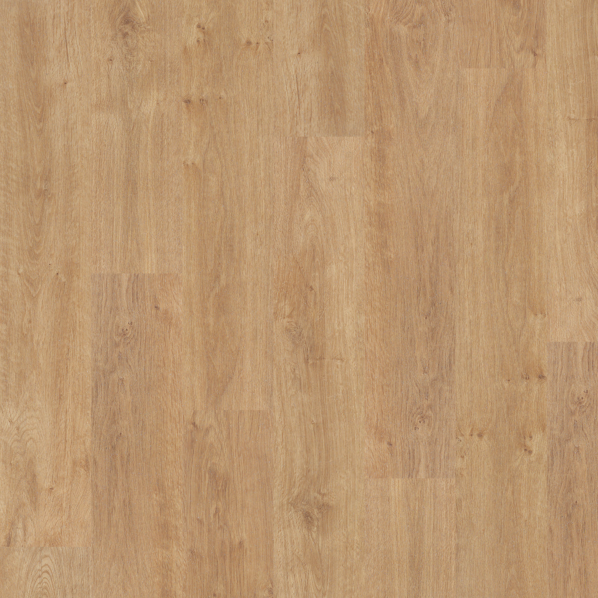 American Oak - Polyflor Expona Control LVT swatch