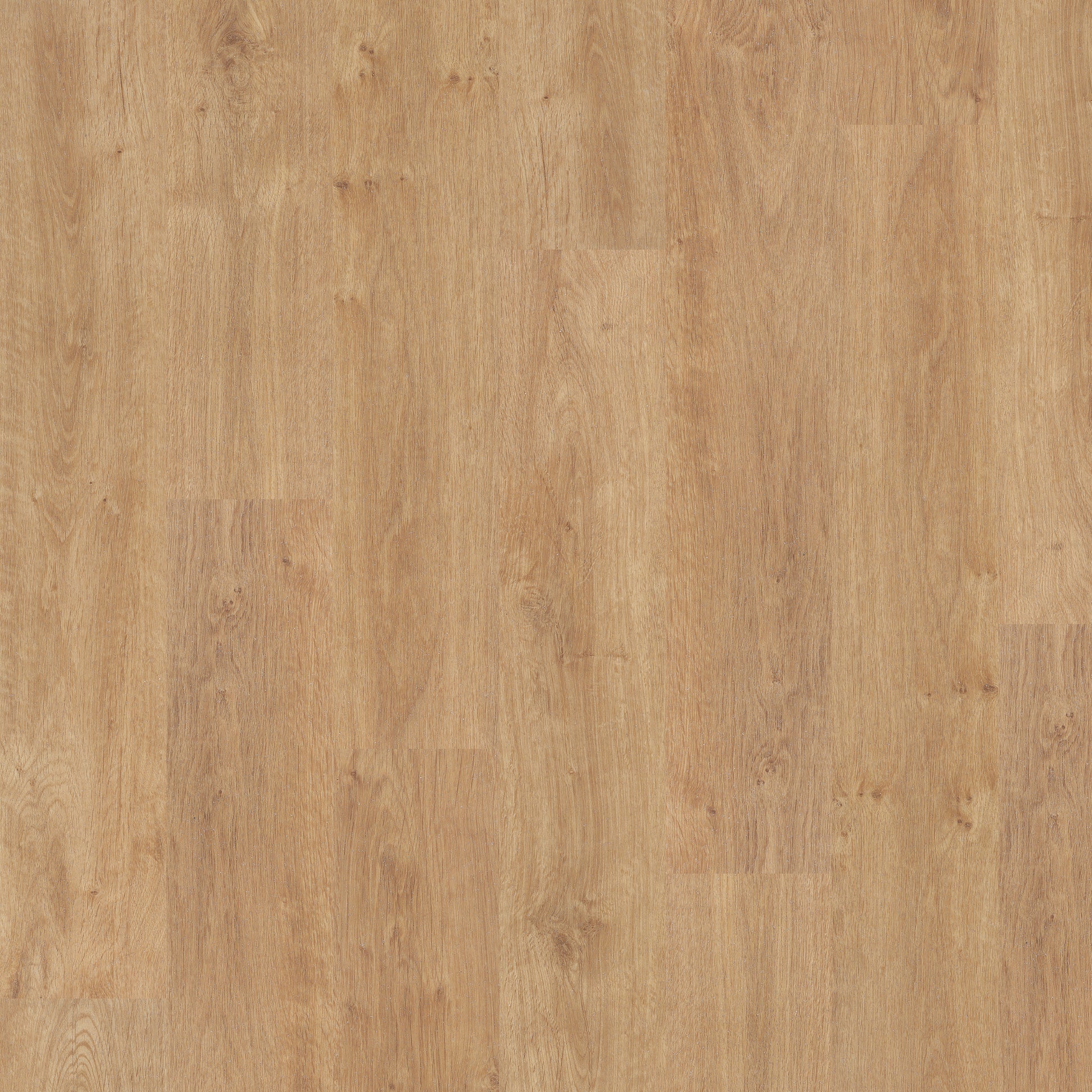 American Oak - Polyflor Expona Control LVT swatch