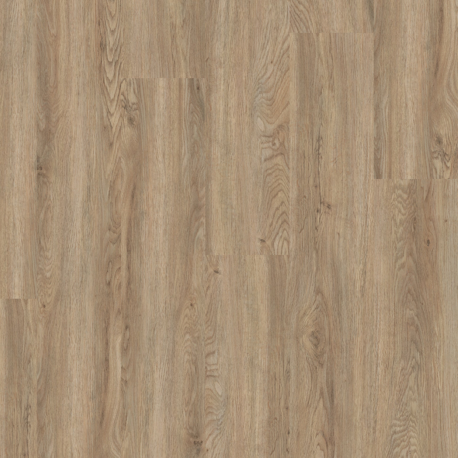 Dappled Oak - Polyflor Affinity 255 LVT swatch