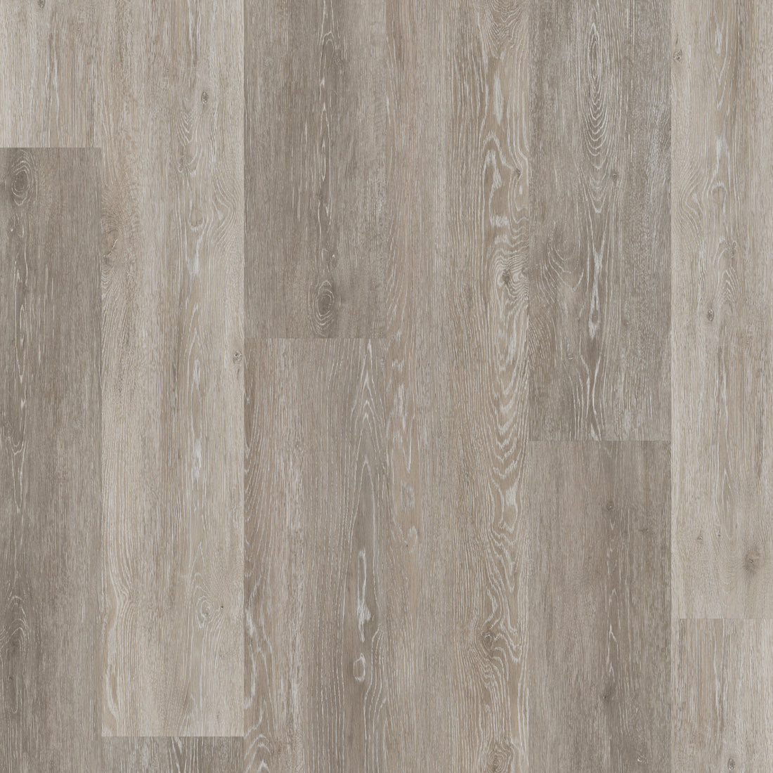 Traditional Grey Oak - Polyflor Conceptline LVT swatch