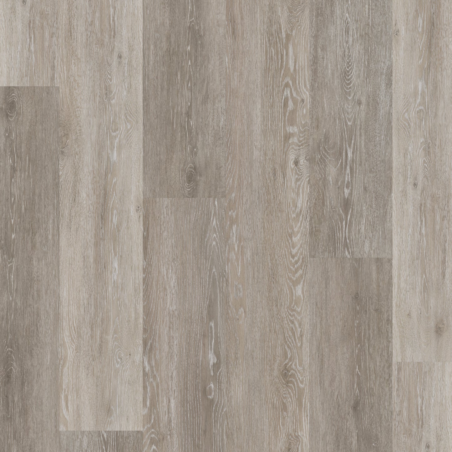 Traditional Grey Oak - Polyflor Conceptline LVT swatch