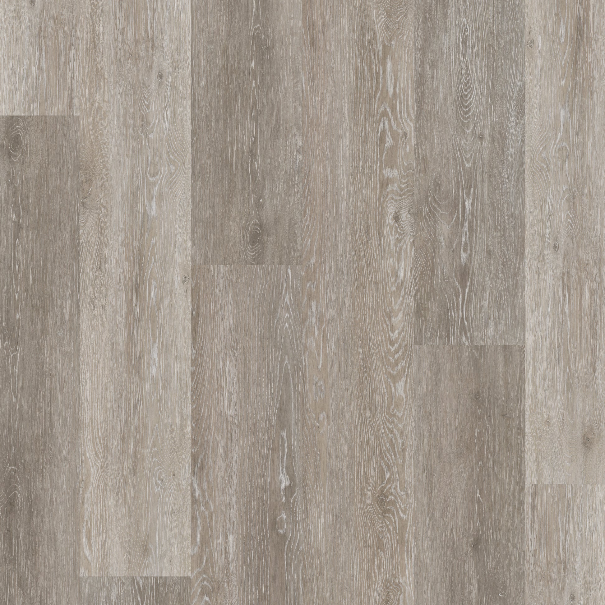 Traditional Grey Oak - Polyflor Conceptline LVT swatch