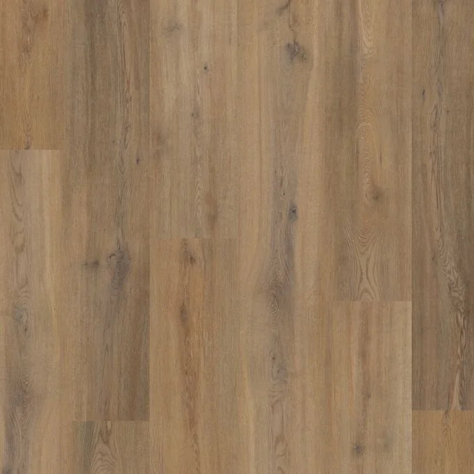 Polyflor Colonia Story Oak LVT sample