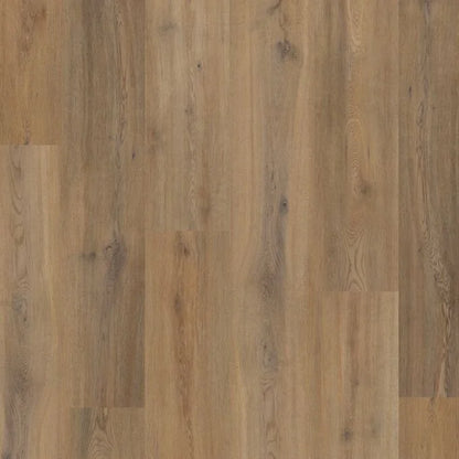 Polyflor Colonia Story Oak LVT | Trade Prices | Free Samples