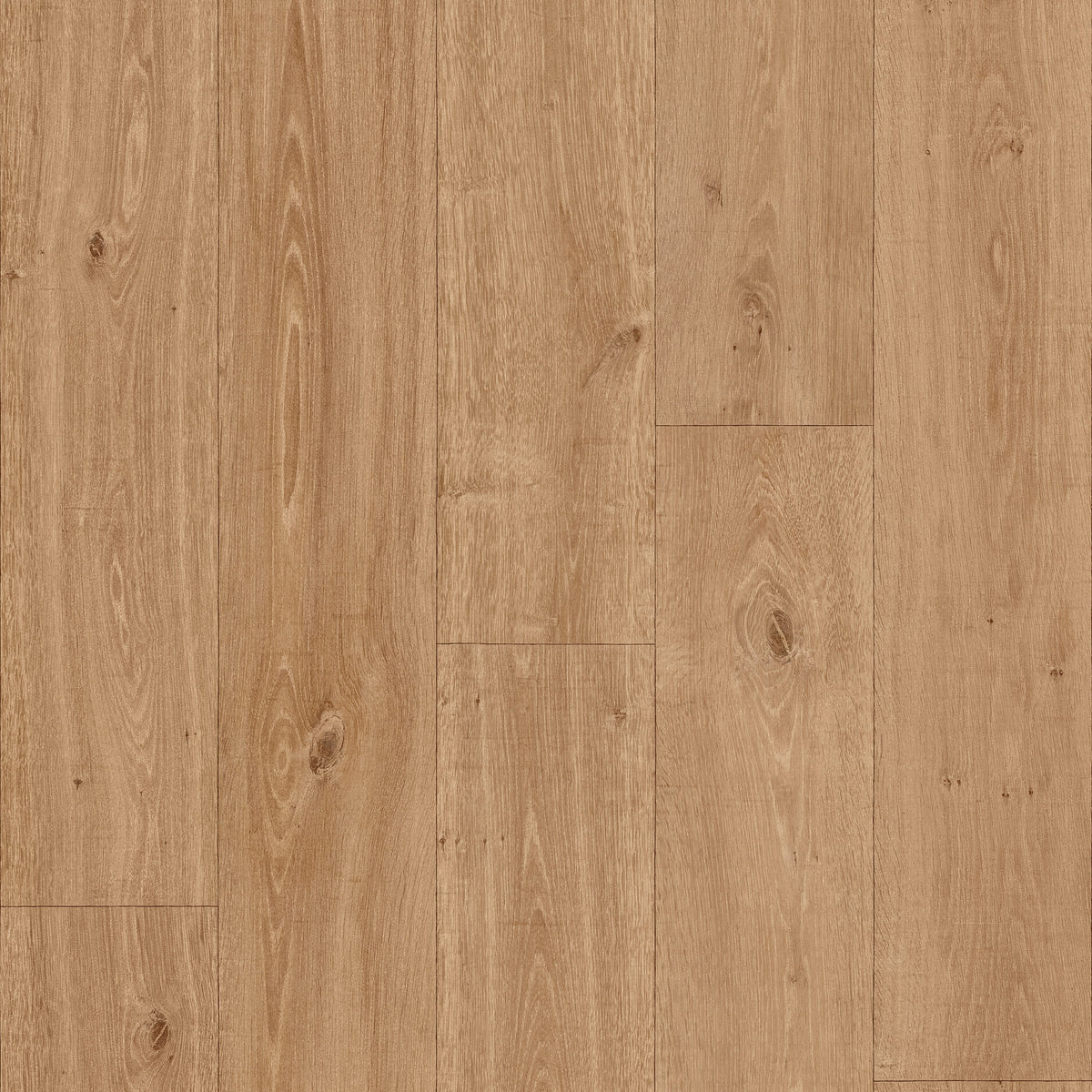 Polyflor Secura PUR Honey Blushed Oak 2162 safety flooring sample