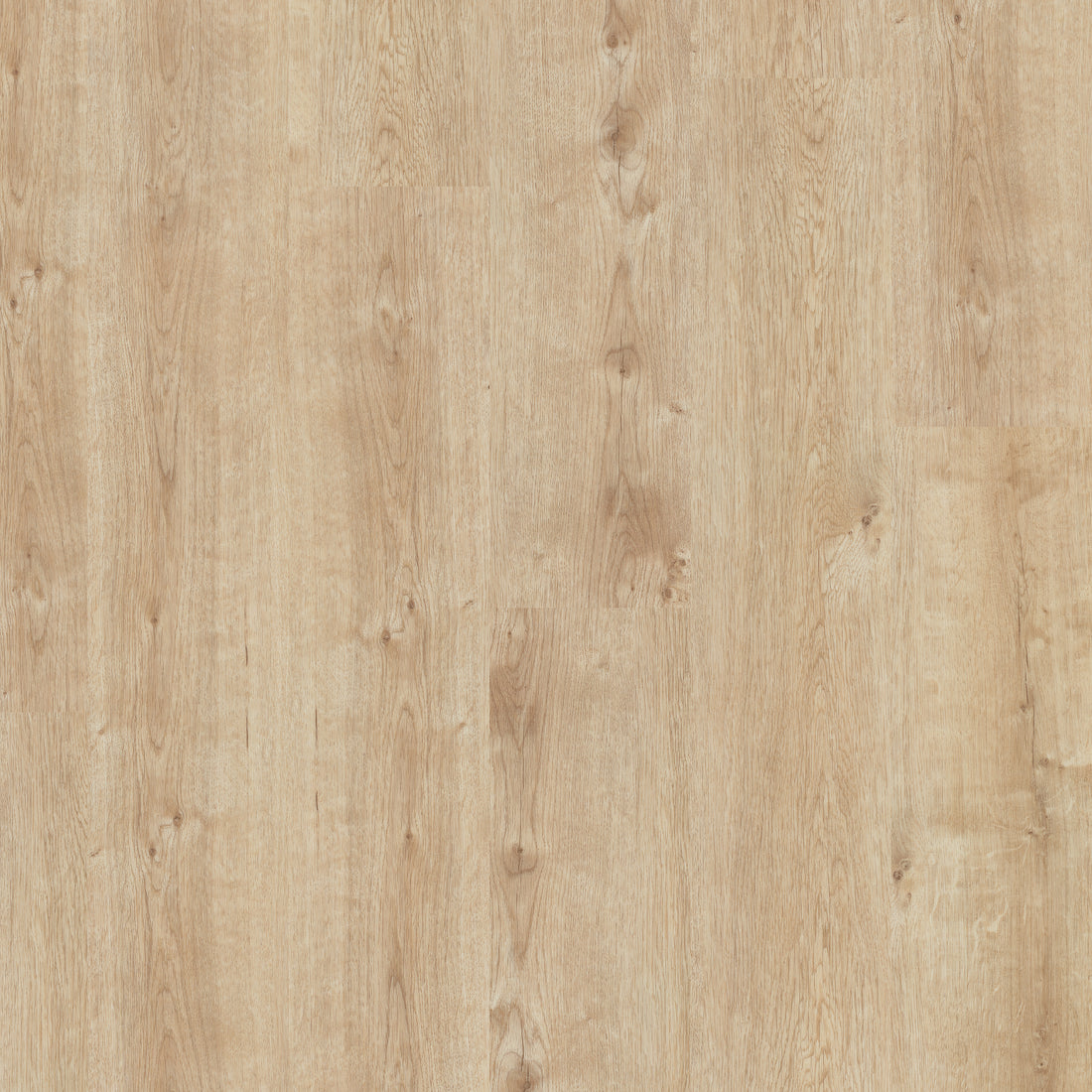 Champagne Oak - Polyflor Affinity 255 LVT swatch
