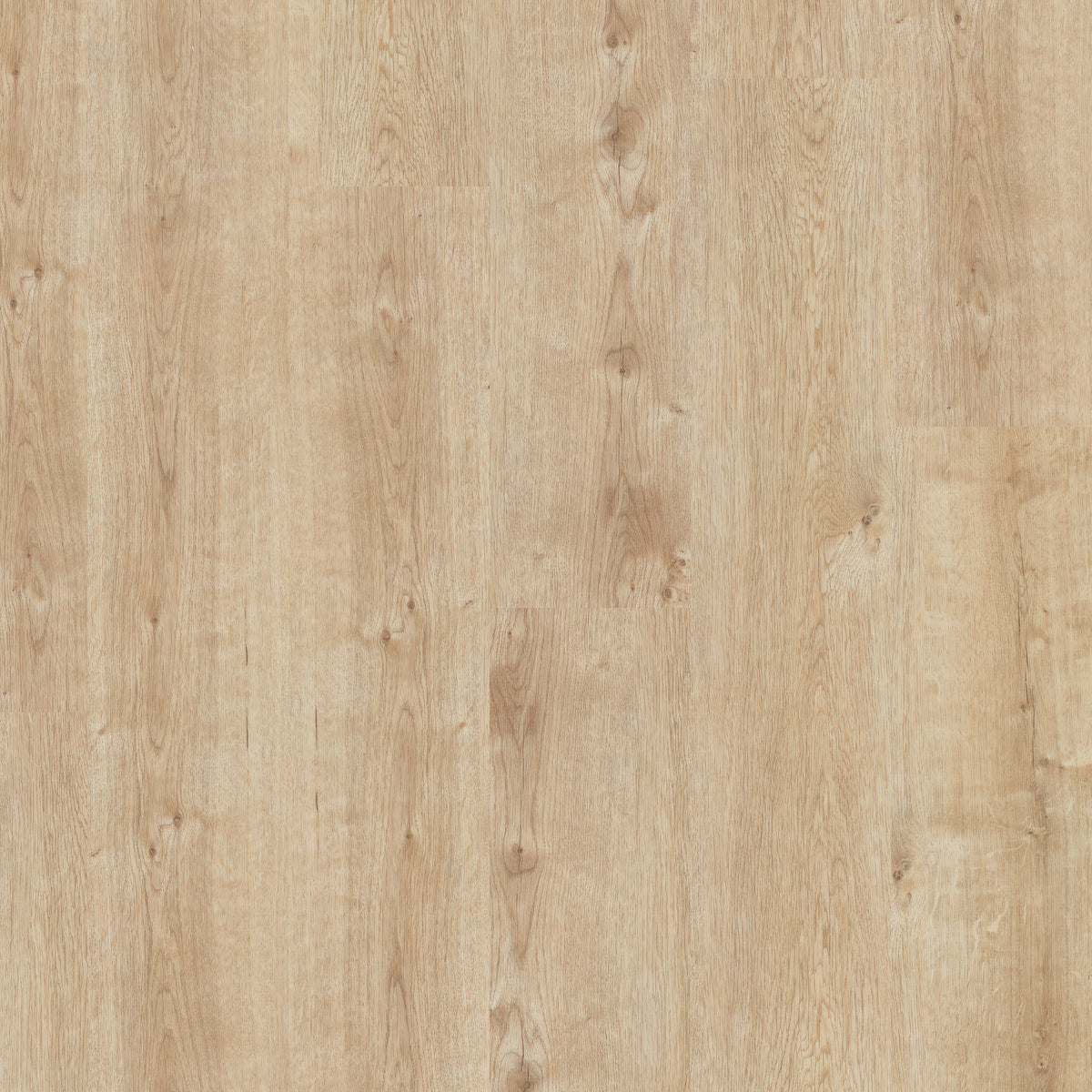 Champagne Oak - Polyflor Affinity 255 LVT swatch