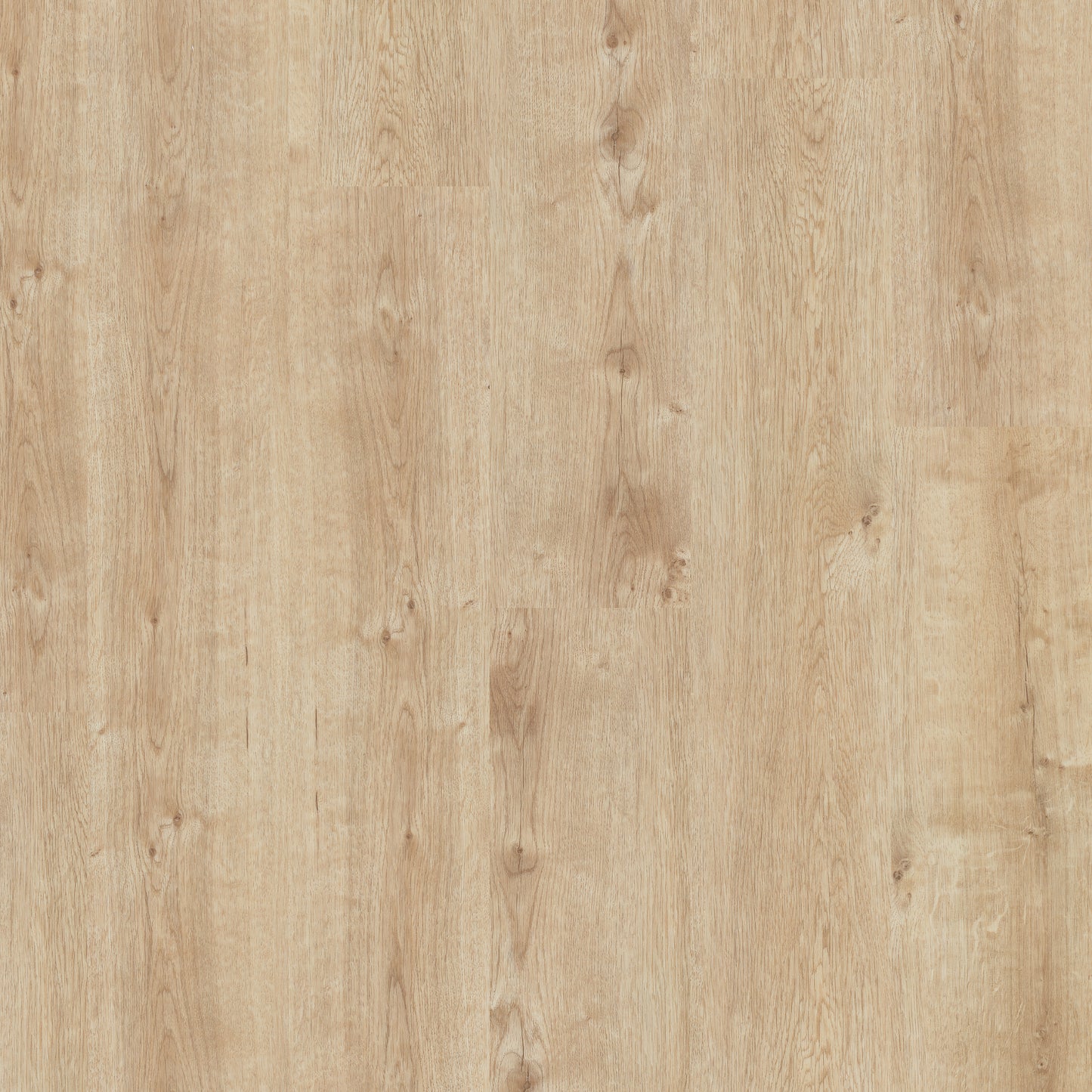 Champagne Oak - Polyflor Affinity 255 LVT swatch