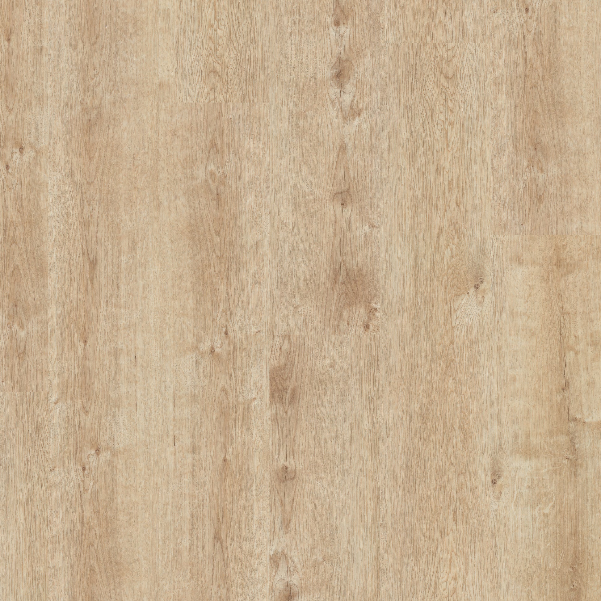 Champagne Oak - Polyflor Affinity 255 LVT swatch