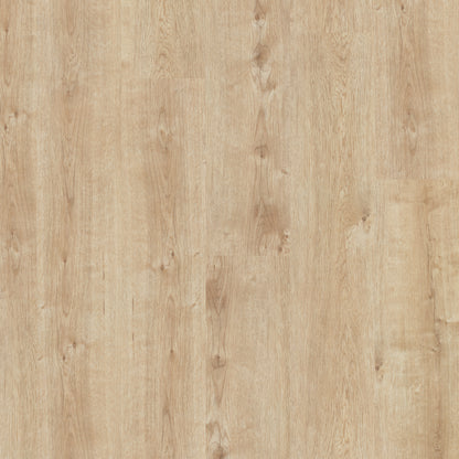 Champagne Oak - Polyflor Affinity 255 LVT swatch