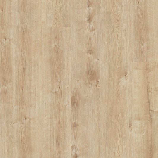 Champagne Oak - Polyflor Affinity 255 LVT swatch