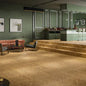 Polyflor Expona Commercial Sherwood Oak Vinyl | Trade Prices | Free Samples