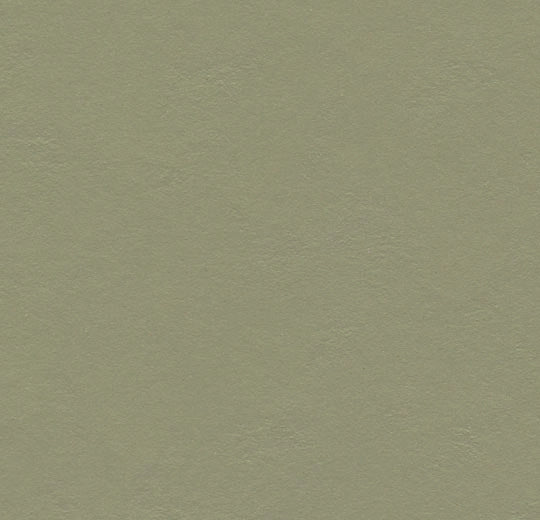 Forbo Marmoleum Solid Walton Rosemary Green 3355